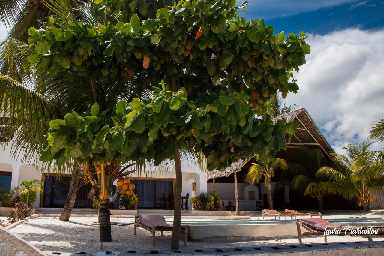 Uroa Zanzibar Vera Beach Hotel By Moonshine Dikoni Exterior foto